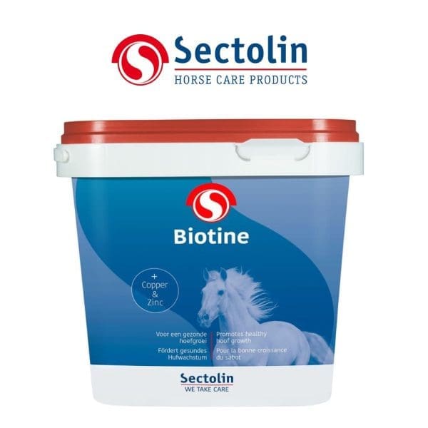 Sectolin Equivital Biotine