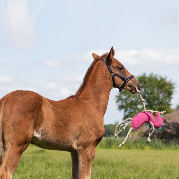 QHP Paardenspeelgoed Unicorn - Afbeelding 3