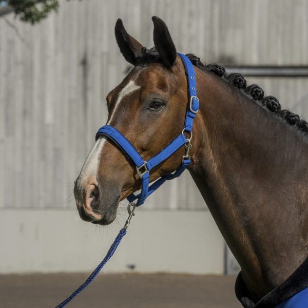 Horka Halster Equestrian Pro Embossed - Afbeelding 2
