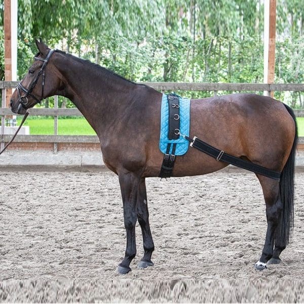 Harry's Horse Longeerband elastisch - Afbeelding 3