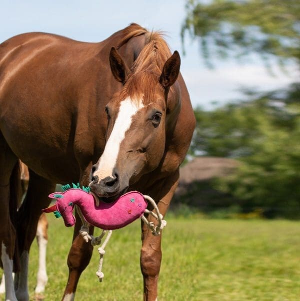 QHP Paardenspeelgoed Unicorn - Afbeelding 4
