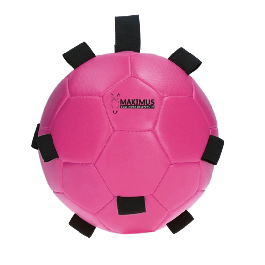 Hofman Animal Care Fun Play Ball