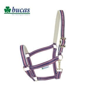 Bucas Veulenhalster Dublin