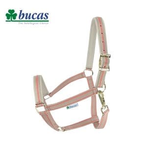 Bucas Veulenhalster Dublin